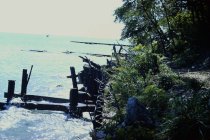 View south along the beach